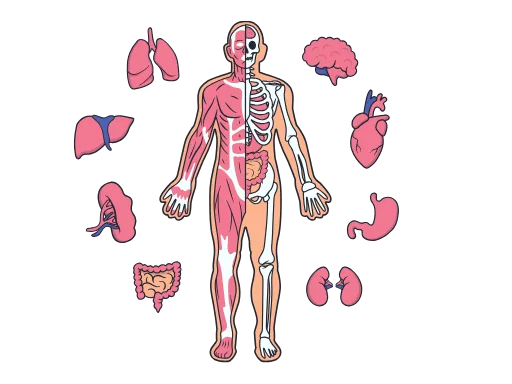 fascia thérapie